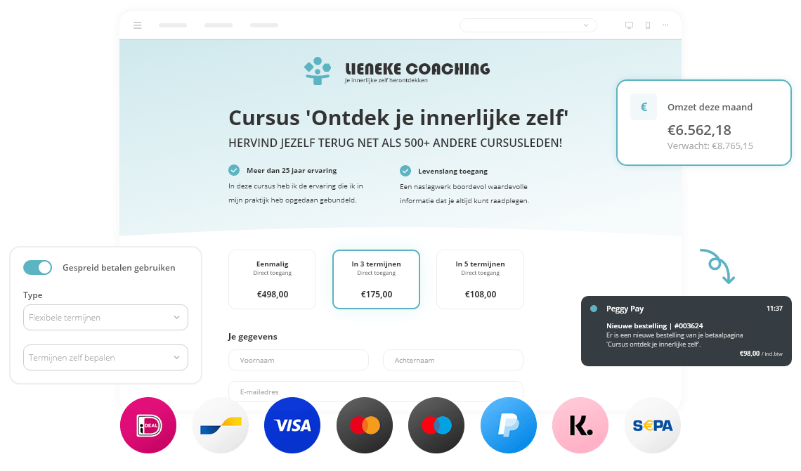 Je omzet verdubbelen met een professionele betaalpagina van Peggy Pay. - Peggy Pay
